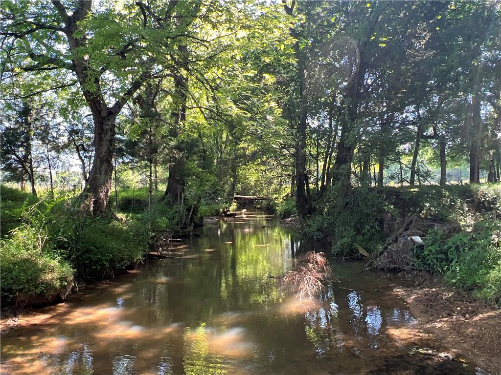 Cedar Creek Road, Cartersville, Georgia image 3