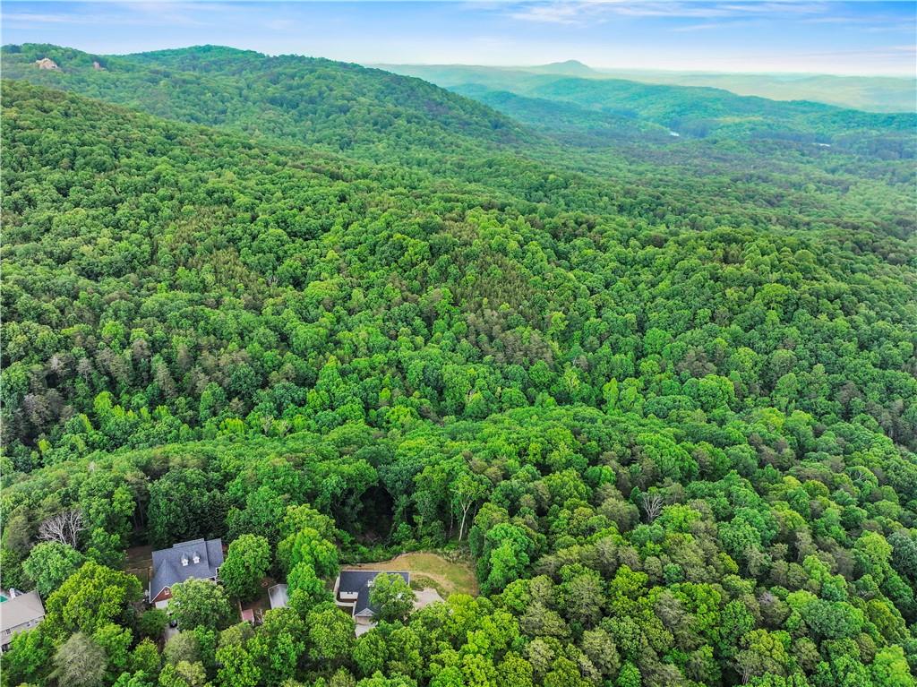 205 Crooked Pine Trail, Baldwin, Georgia image 8