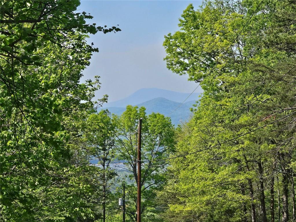 391 Meteor Court, Ranger, Georgia image 22