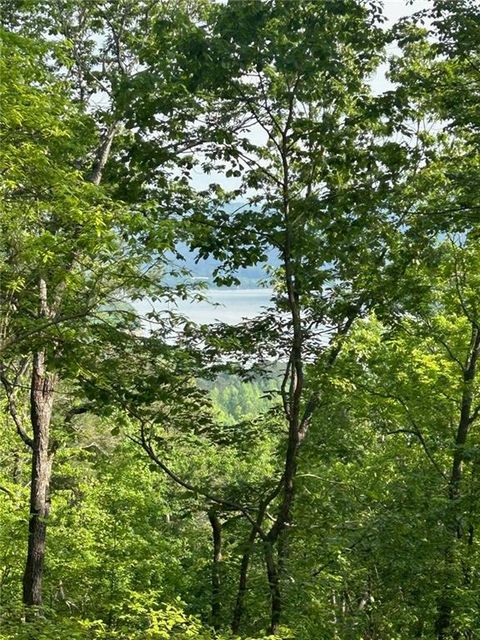 Vacant Land For Sale - 324 Adair Drive<br/> Ranger, GA 30734