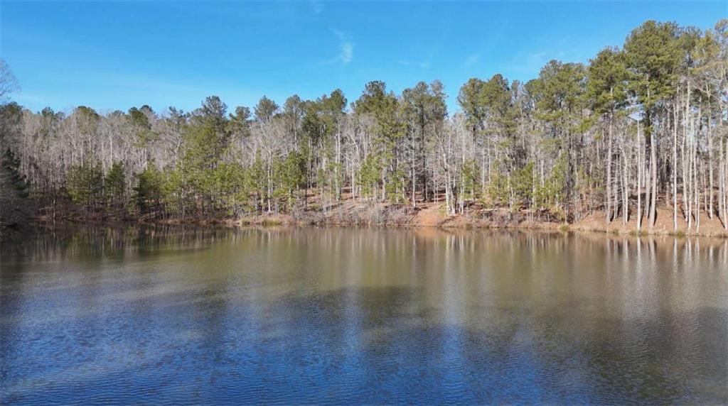 LOT 1 Social Circle Fairplay Road, Social Circle, Georgia image 7