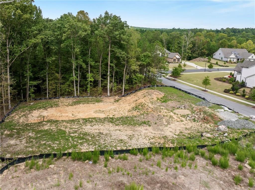 1022 Carl Sanders Drive, Acworth, Georgia image 6