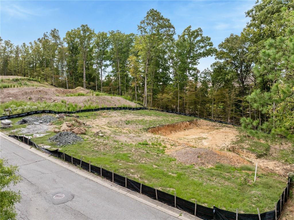 1022 Carl Sanders Drive, Acworth, Georgia image 5