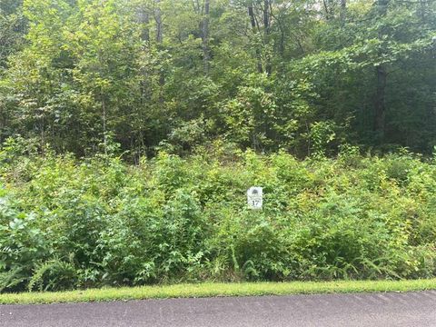 LOT 17 Staurolite Mountain Drive Blue Ridge GA 30513