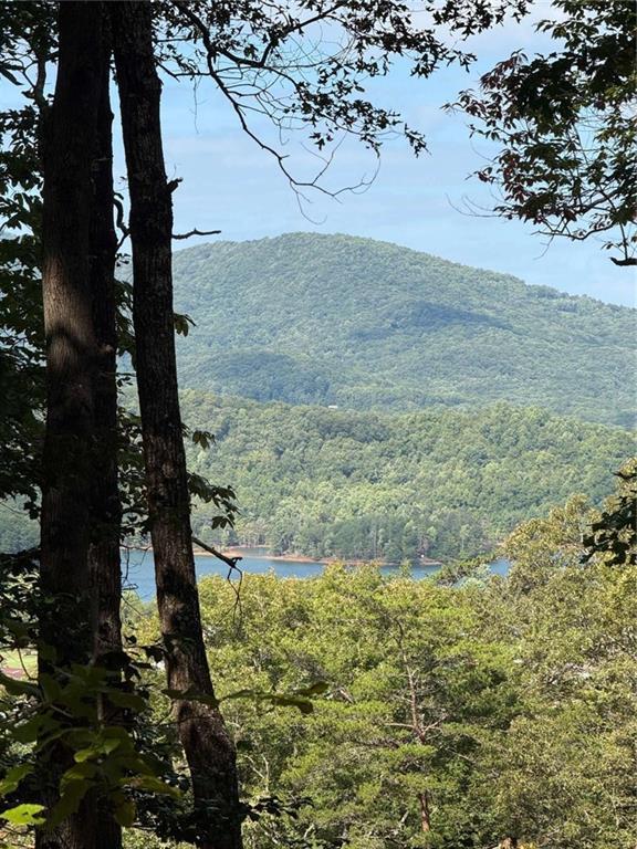 LOT 2 Whiskey Mountain Estates
