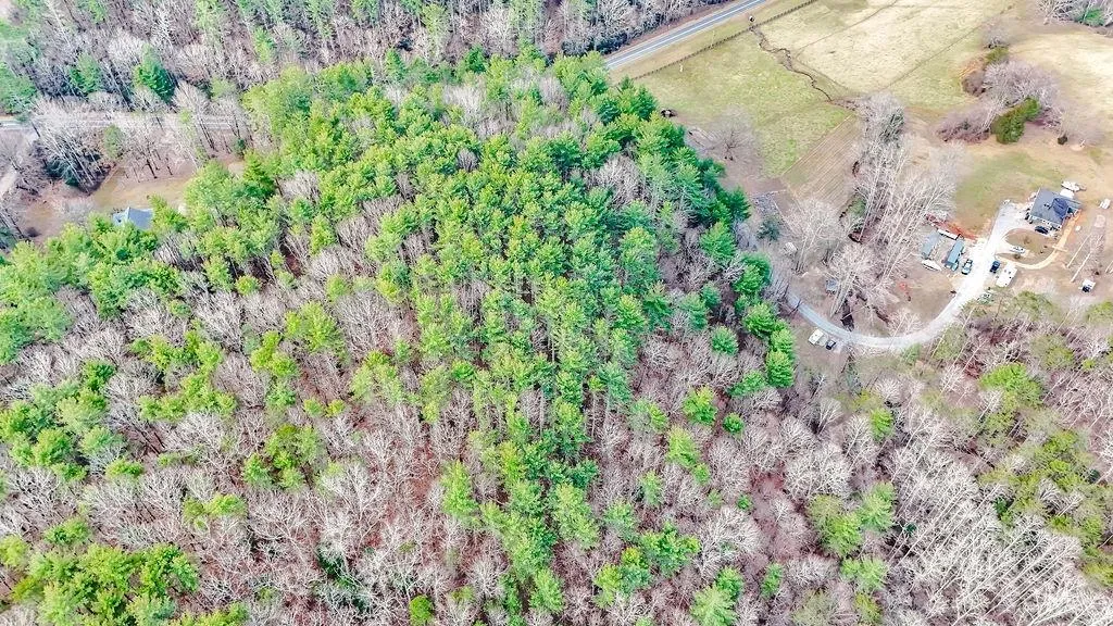 Blairsville, Georgia 30512, United States, ,Land,Active,79686