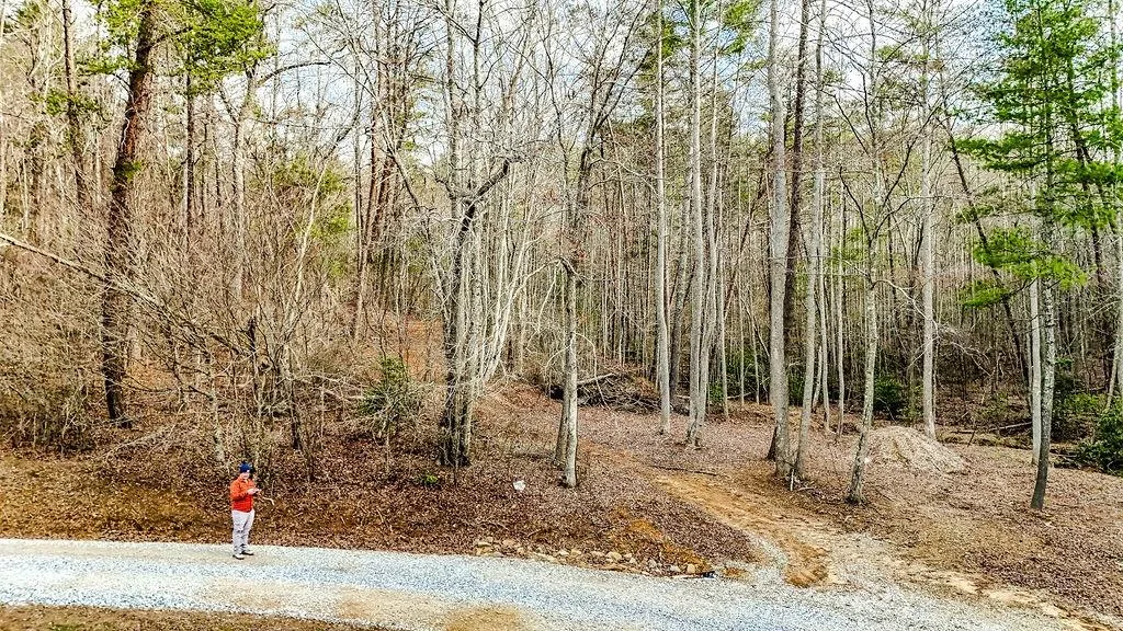 Blairsville, Georgia 30512, United States, ,Land,Active,79686