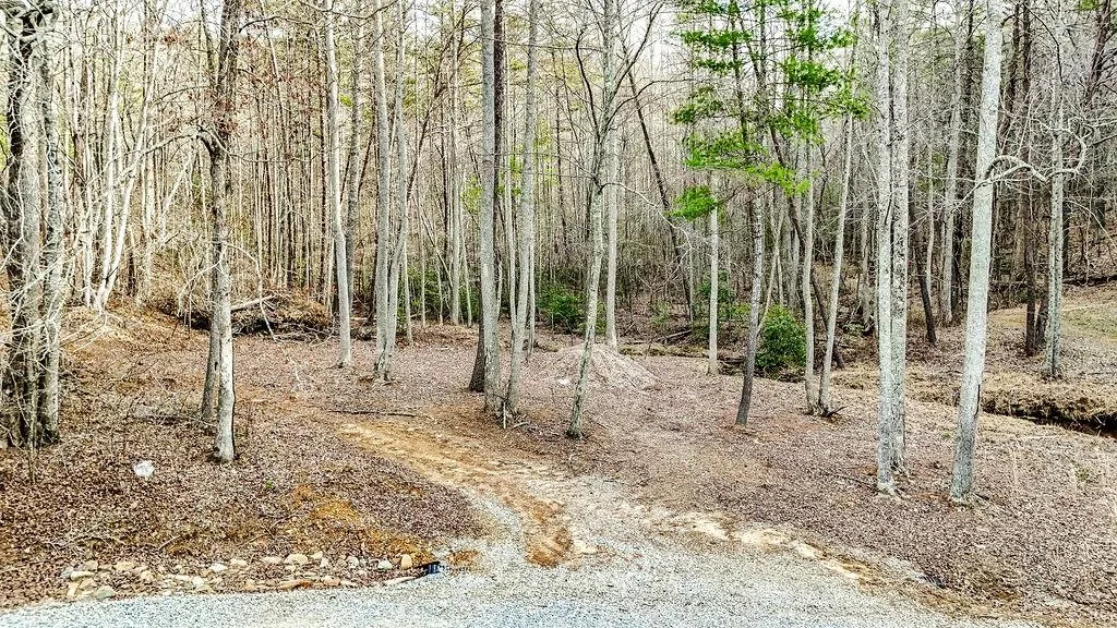 Blairsville, Georgia 30512, United States, ,Land,Active,79686