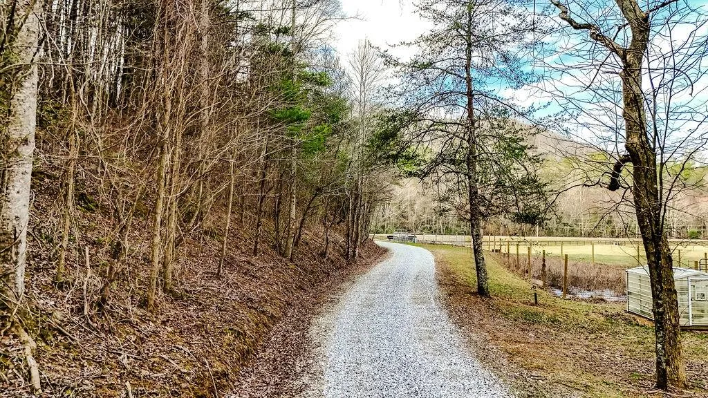 Blairsville, Georgia 30512, United States, ,Land,Active,79686