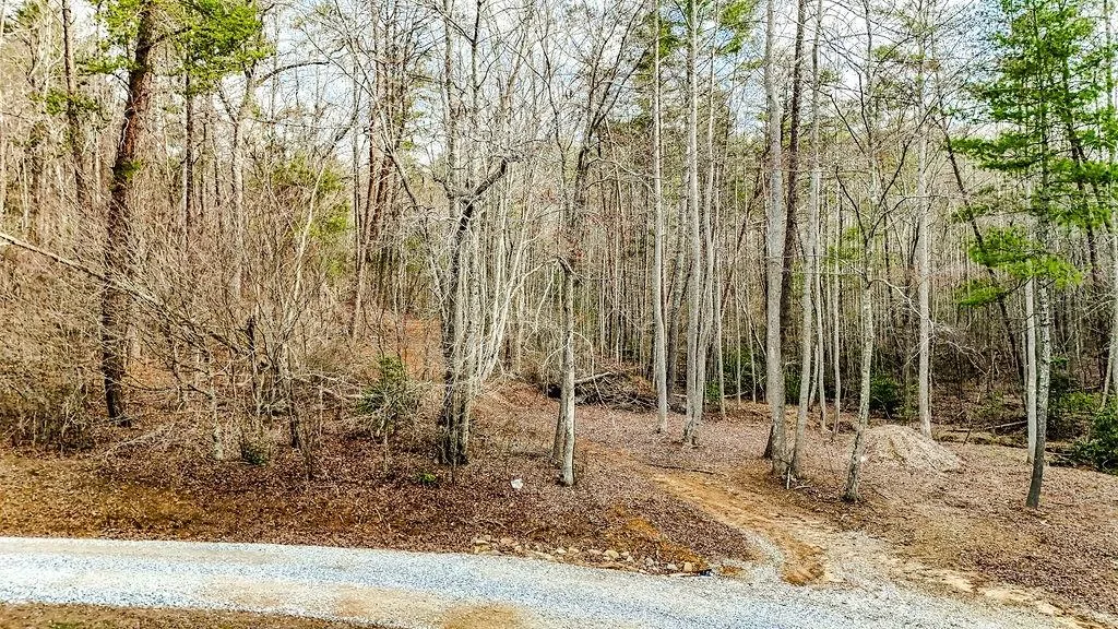 Blairsville, Georgia 30512, United States, ,Land,Active,79686