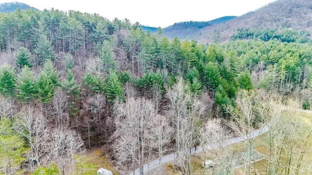 Blairsville, Georgia 30512, United States, ,Land,Active,79686