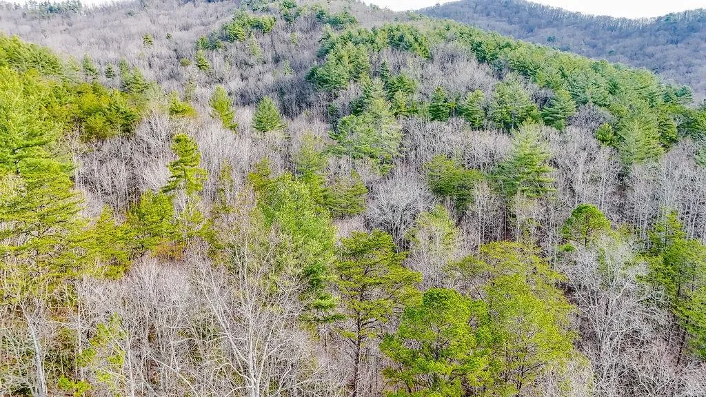 Blairsville, Georgia 30512, United States, ,Land,Active,79686