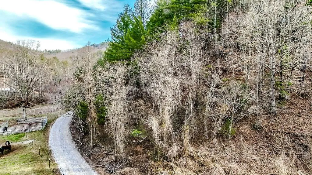 Blairsville, Georgia 30512, United States, ,Land,Active,79686