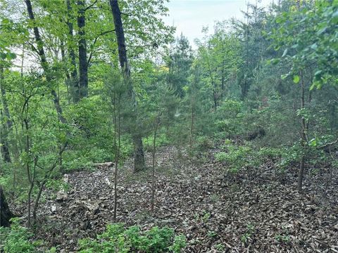 1181 Jewel Court NE Ranger GA 30734