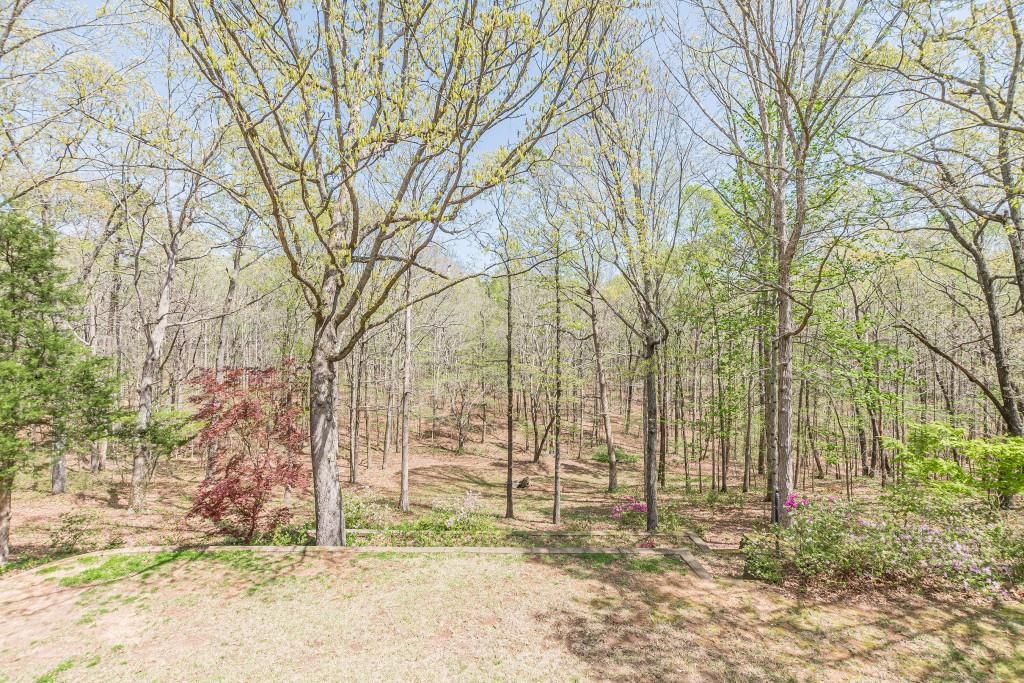 listing image 63