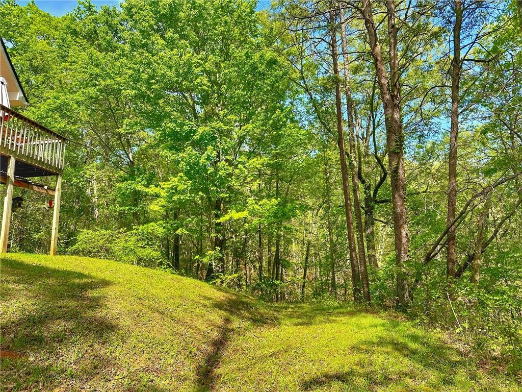 233 Hillstream Drive, Dahlonega, Georgia image 43