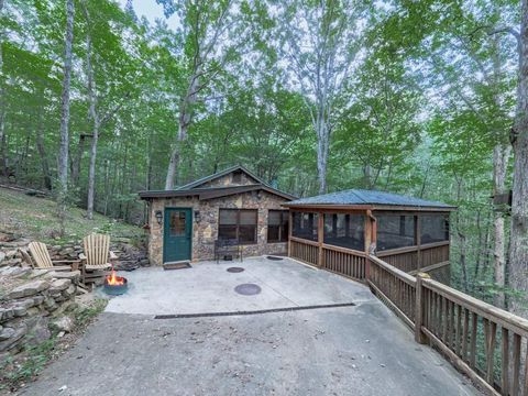 189 Smith Hill Road Blue Ridge GA 30513