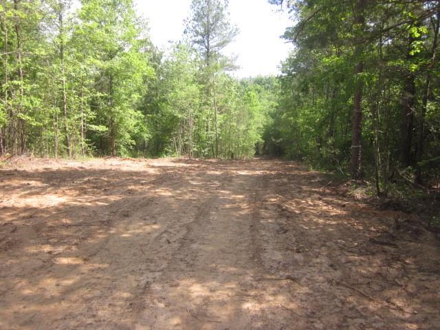 0000 Hwy 136- 11.31 acres W