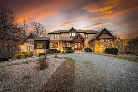 394 Snake Mountain Road Blue Ridge GA 30513