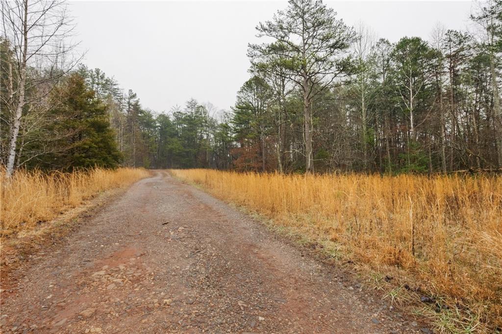 Walter Road, Sautee Nacoochee, Georgia image 21