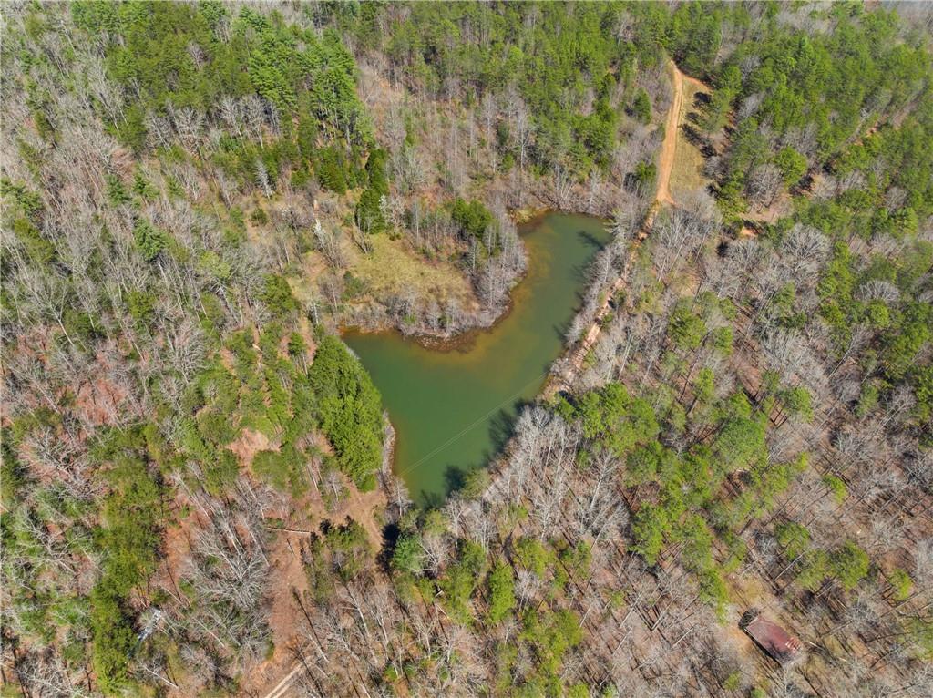 Walter Road, Sautee Nacoochee, Georgia image 8