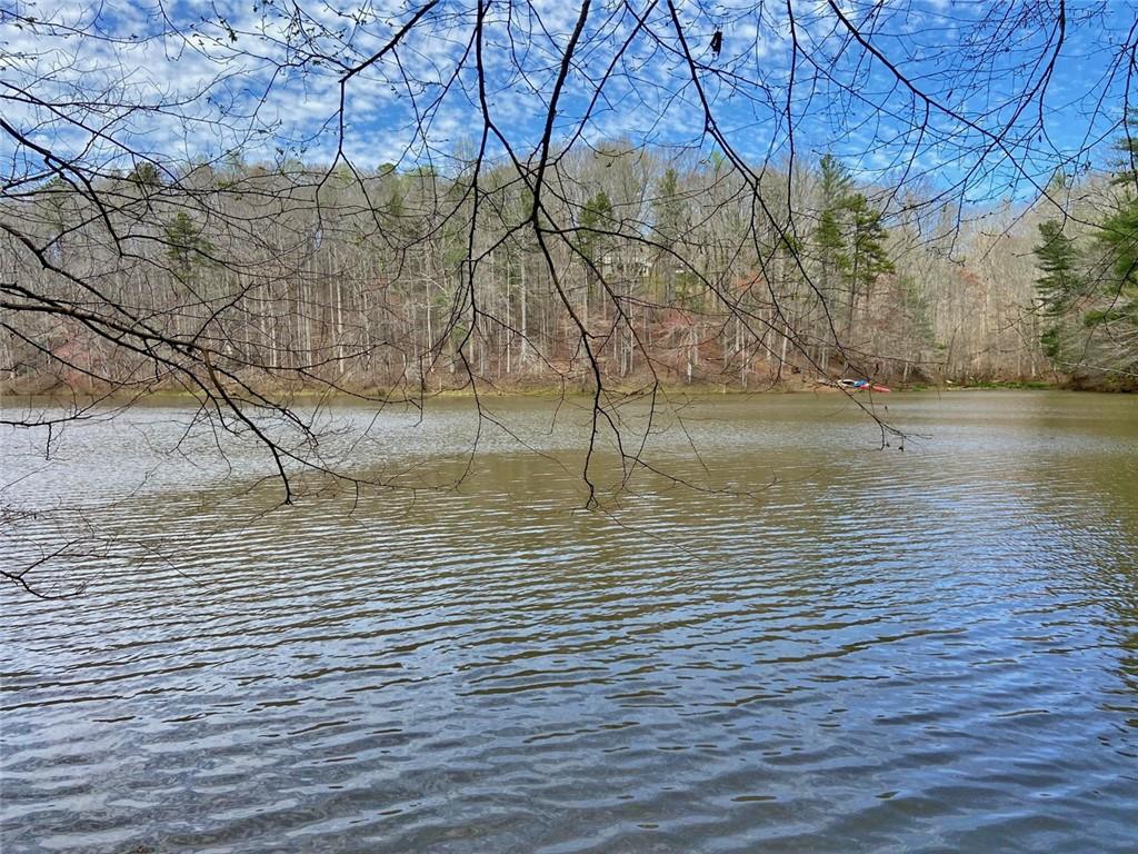 20ac Myrtle Drive, Dawsonville, Georgia image 9