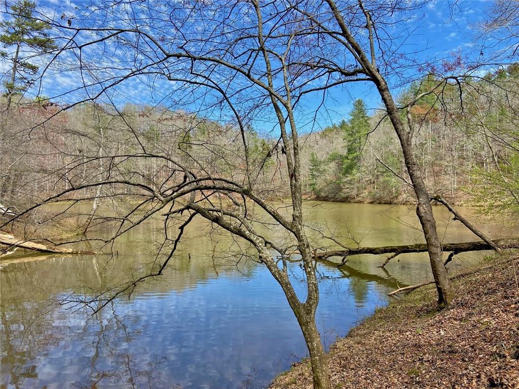 20ac Myrtle Drive, Dawsonville, Georgia image 8