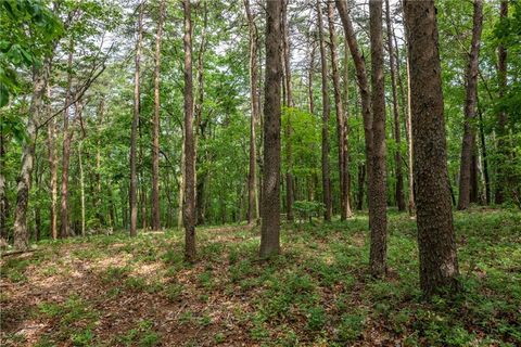 Single Family Residence in Jasper GA 206R Mystic Trail Lane.jpg