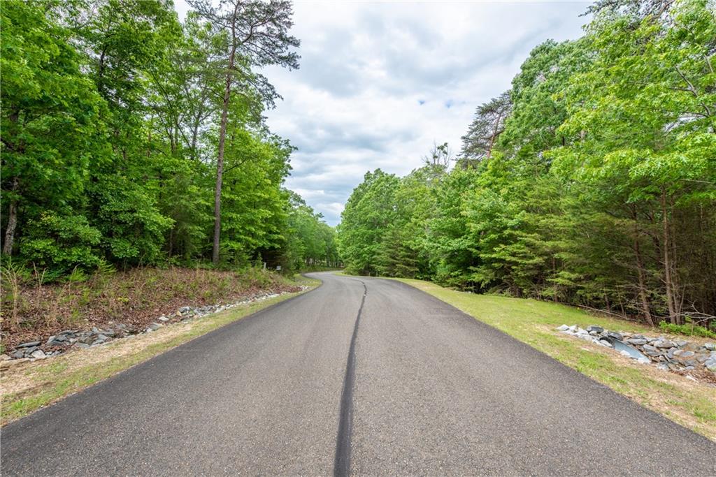 206R Mystic Trail Lane, Jasper, Georgia image 8