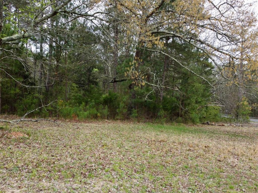7314 Browns Mill Road, Lithonia, Georgia image 21