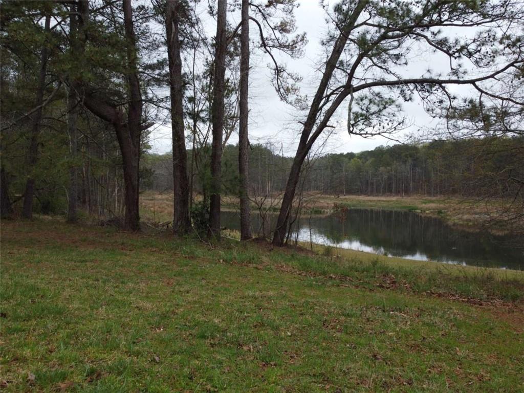 7314 Browns Mill Road, Lithonia, Georgia image 18