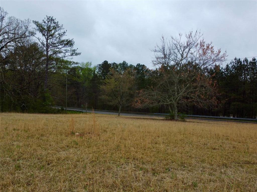 7314 Browns Mill Road, Lithonia, Georgia image 22