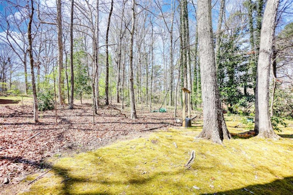 380 Hidden Valley Drive, Conyers, Georgia image 47