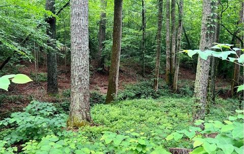 A home in Ellijay