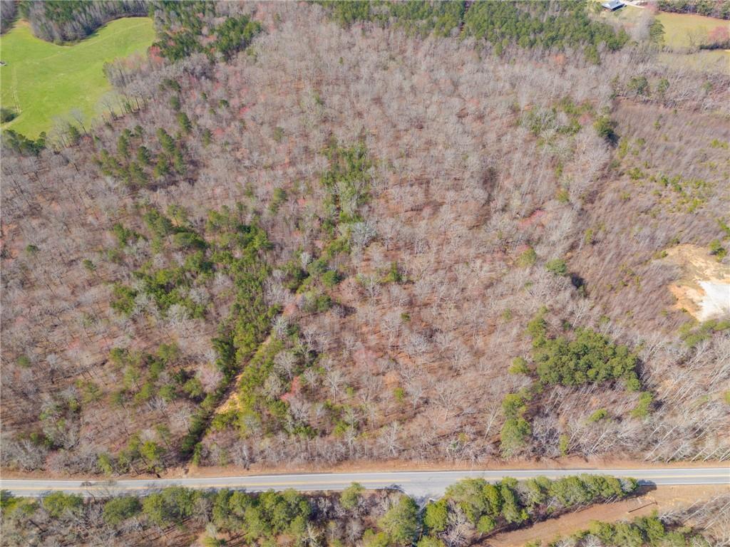 Tract1 Georgia Highway 100, Buchanan, Georgia image 9