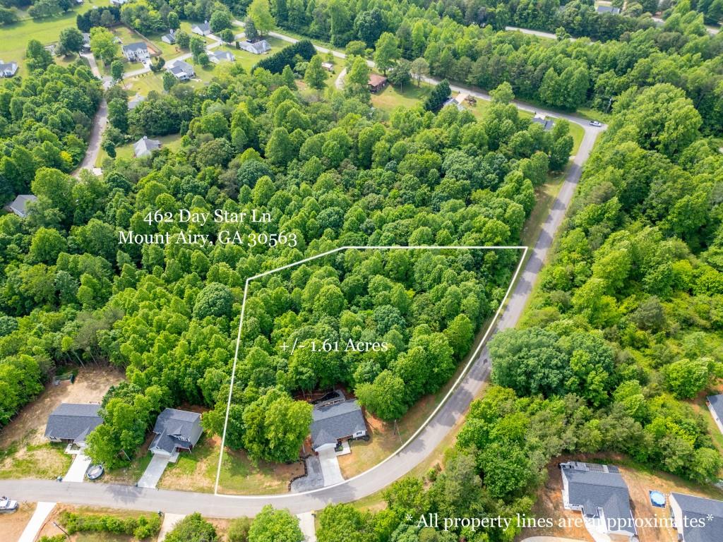462 Day Star Lane, Mount Airy, Georgia image 3