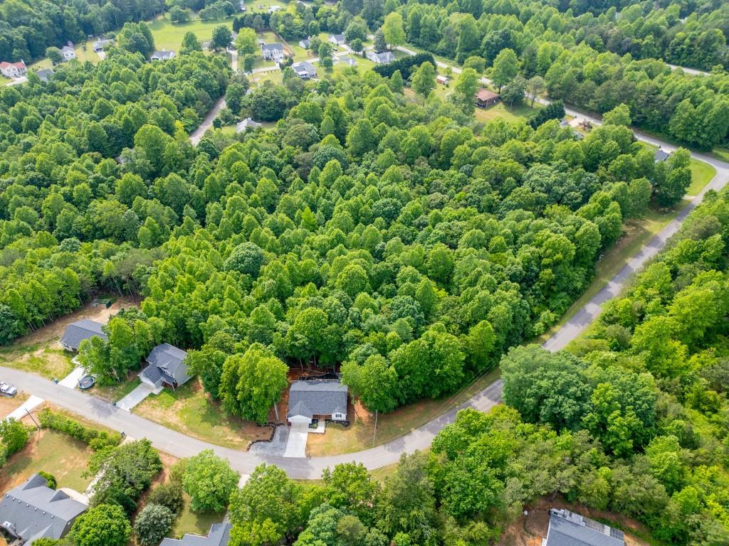 462 Day Star Lane, Mount Airy, Georgia image 38