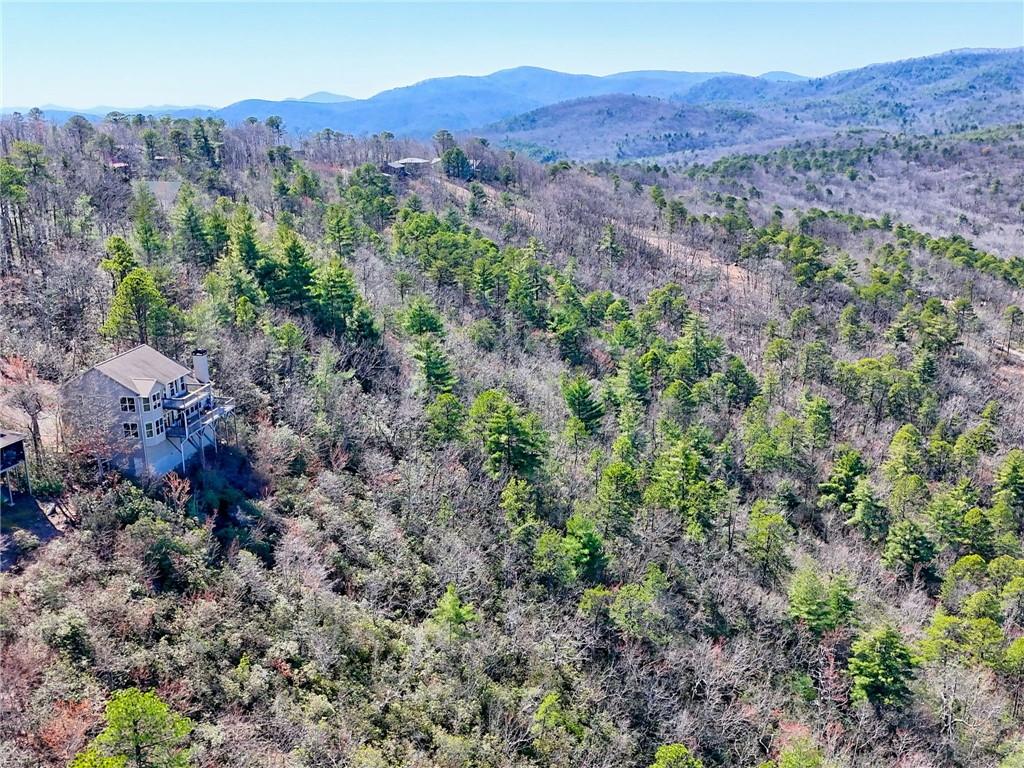 296 Tallulah View, Tallulah Falls, Georgia image 25