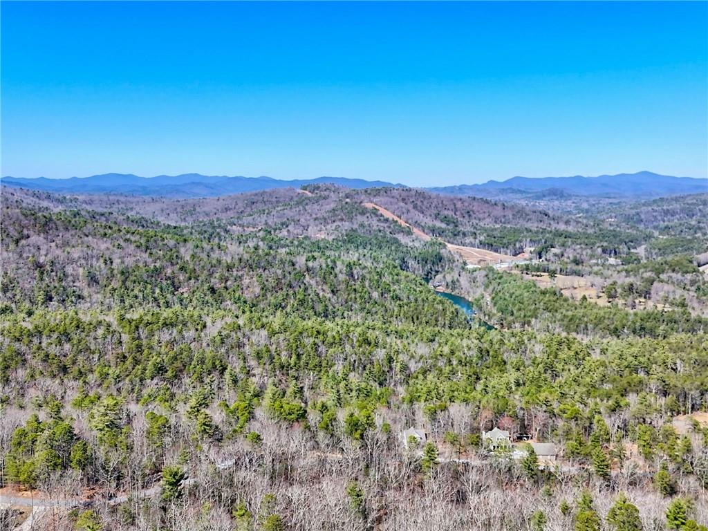 296 Tallulah View, Tallulah Falls, Georgia image 21