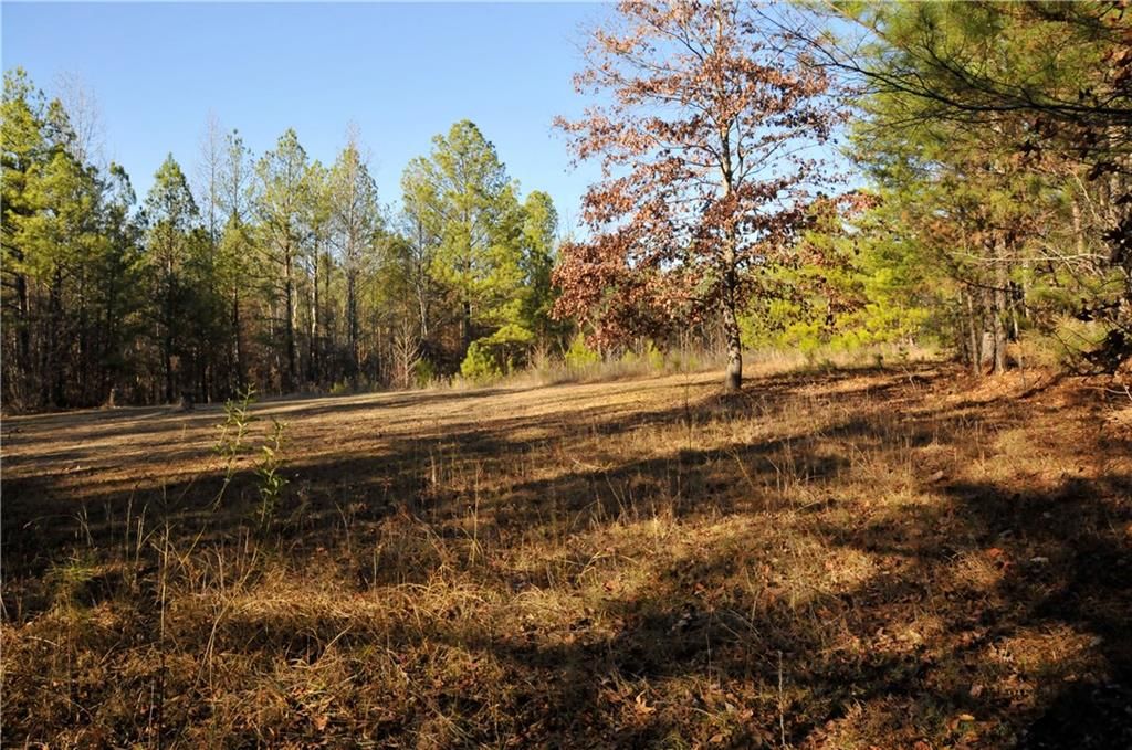 listing image 0