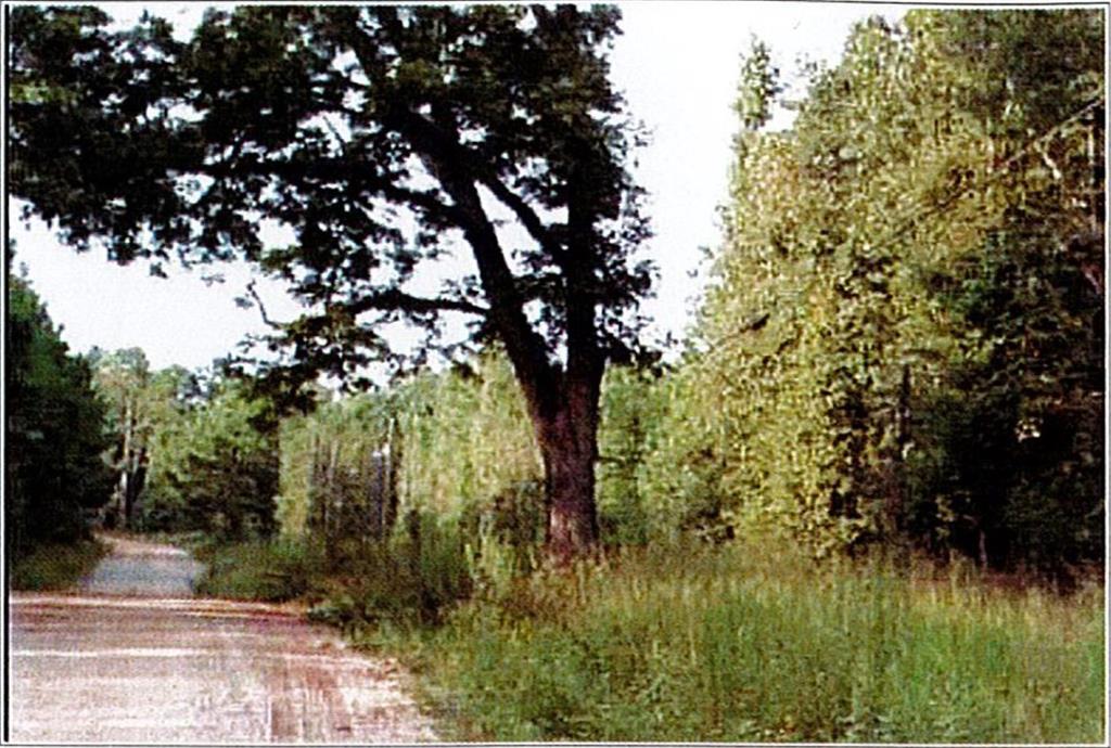 Felton Mcmichael Road, Monticello, Georgia image 2