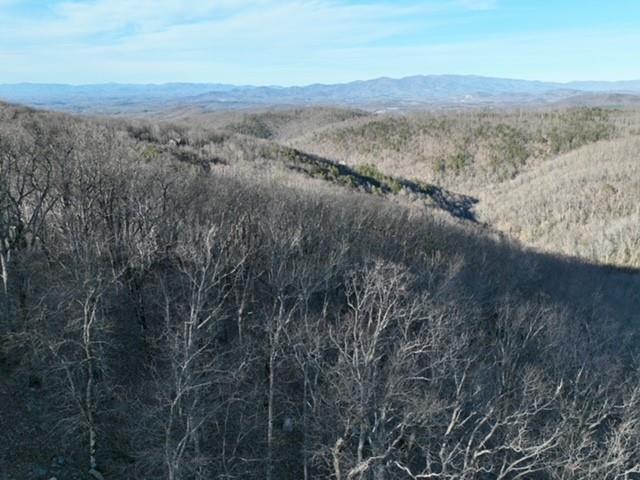 Long and wide long range views! The grade of the slope with being on an outward curve allows for wide and long range views which will become UNOBSTRUCTED once you clear the lot for your home. Adjoining 2 roadfronts (Blood Root Trl and Andes Ridge) both with gorgeous views, you'll have many choices from how high on the mountain face you want to build, do you want an upsloping or downsloping driveway, which view do you want your home facing, home plan, and how much privacy would you like! The middle of this property has a more level area you might choose for your homesite. Located in Falling Waters, you'll have access to all the great amenities private to residents: Fishing, hiking, camping, and more. min 1400 sqft w 2 car garage and paved driveway, HOA, gated, you must be accompanied by a real estate agent.