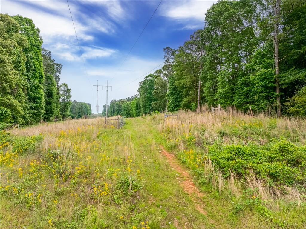 Dogwood Trail, Winder, Georgia image 3