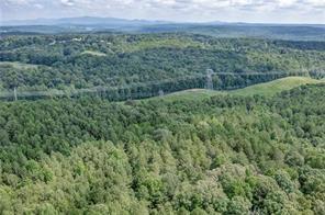 251 A Murphy Trail