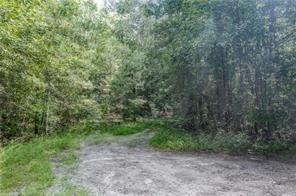 251 A Murphy Trail