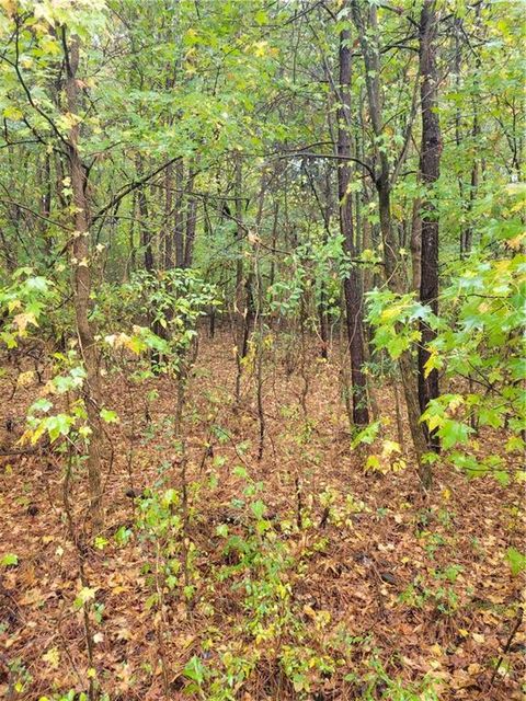 Vacant Land For Sale - 5194 Joe Frank Harris Parkway<br/> Bartow County, Adairsville, GA 30103