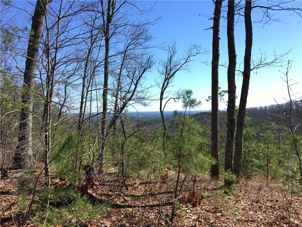 82 Sharp Mountain Parkway, Jasper, Georgia image 12