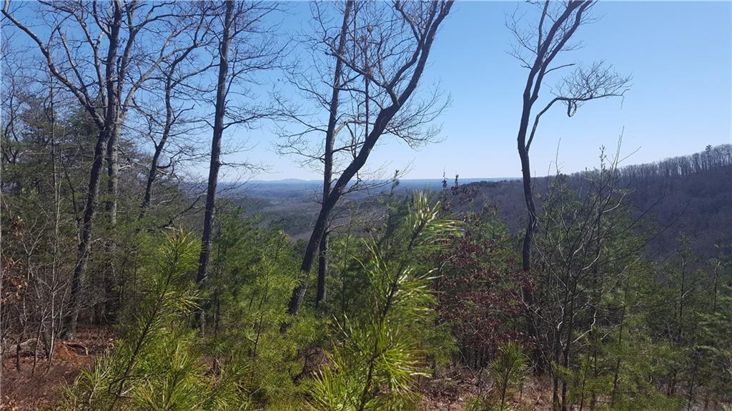 82 Sharp Mountain Parkway, Jasper, Georgia image 9