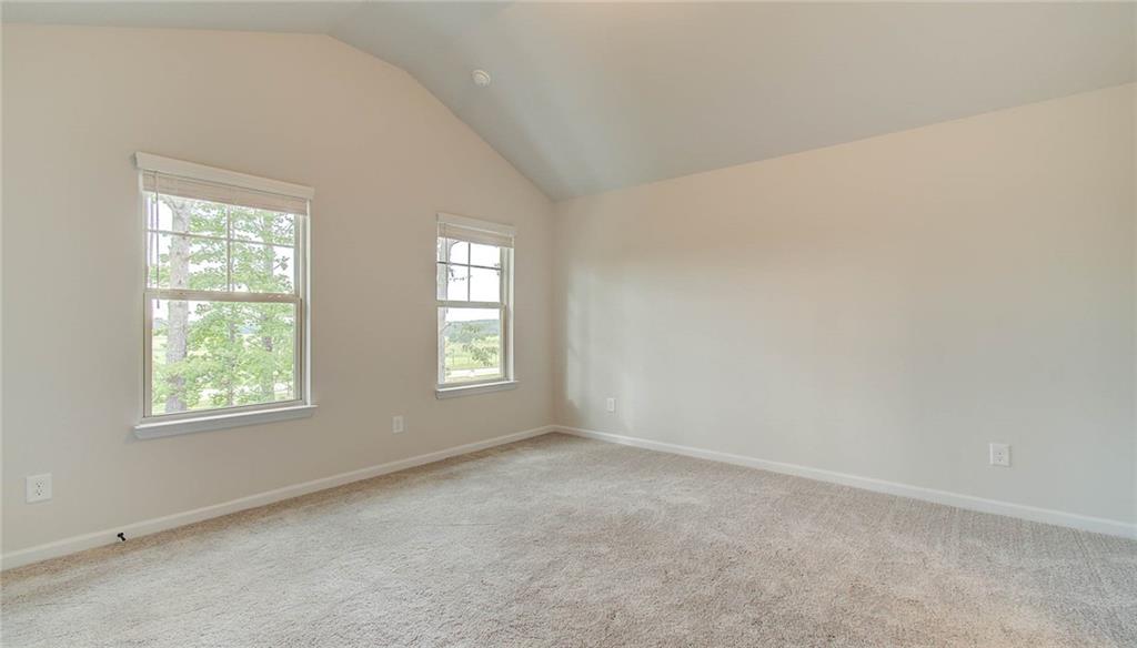 165 Cooper Cove, Fayetteville, Georgia image 19