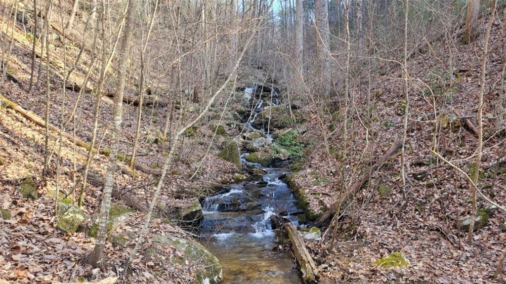 51+ AC Mountain Cove Way, Cherry Log, Georgia image 26